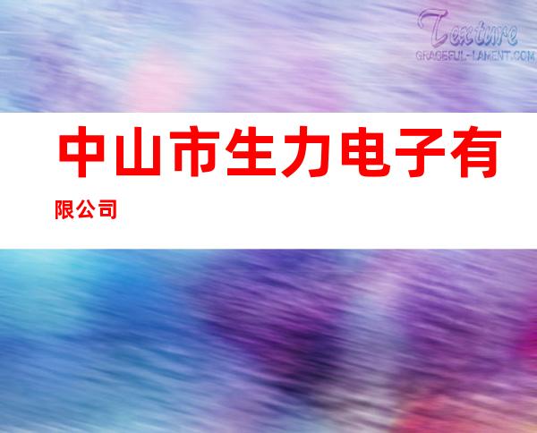 中山市生力电子有限公司